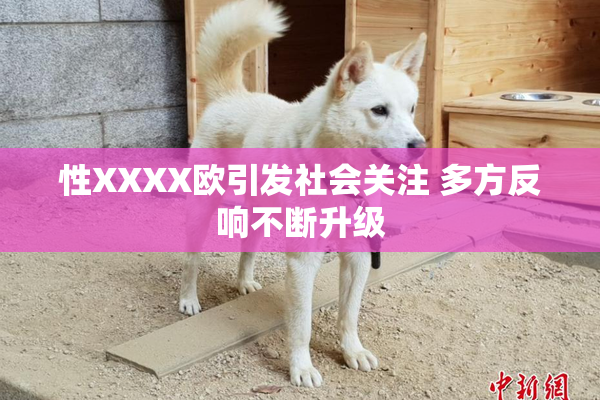性XXXX欧引发社会关注 多方反响不断升级