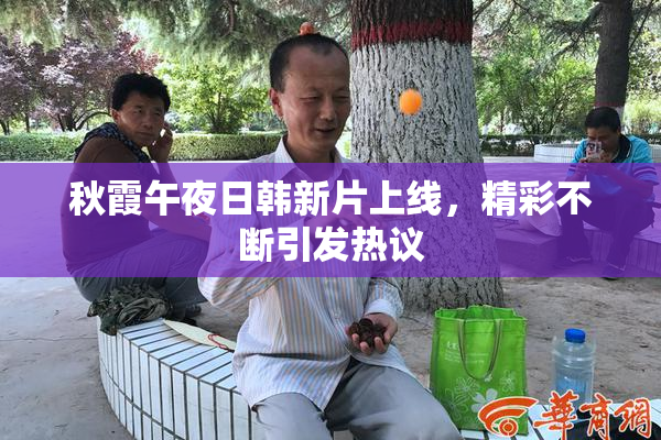 秋霞午夜日韩新片上线，精彩不断引发热议