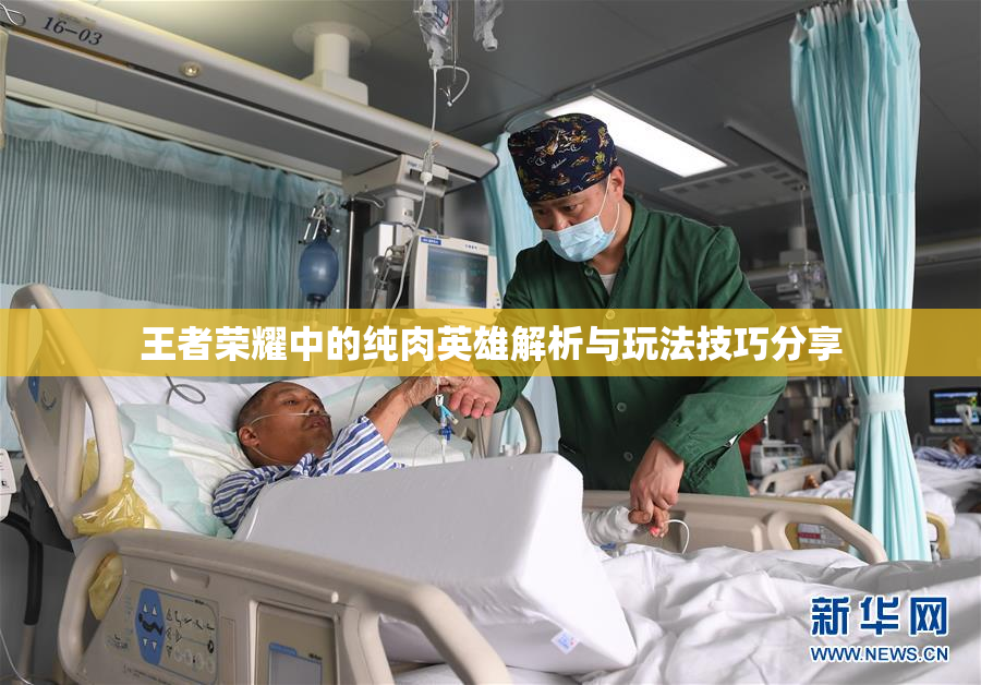 王者荣耀中的纯肉英雄解析与玩法技巧分享