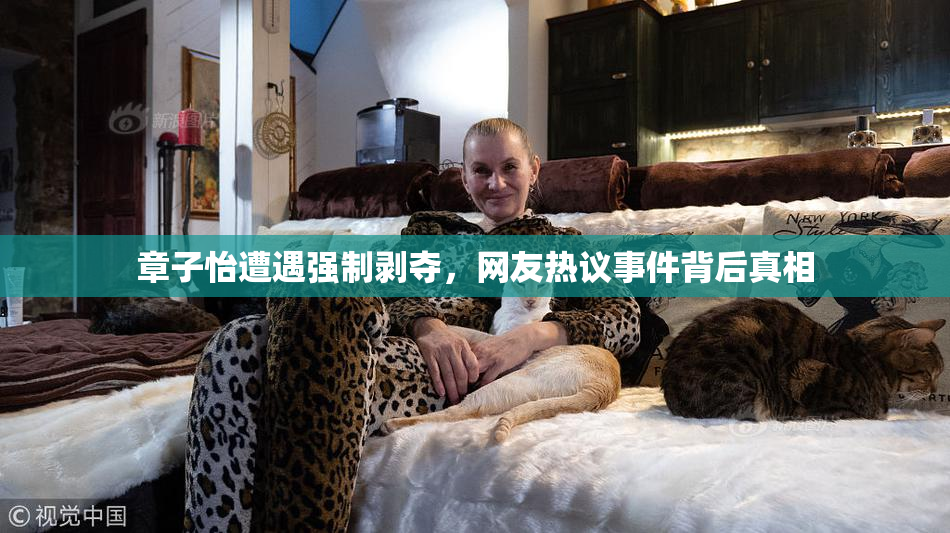 章子怡遭遇强制剥夺，网友热议事件背后真相