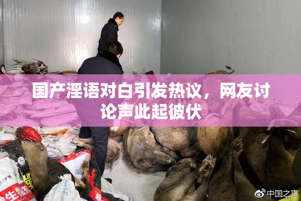 国产淫语对白引发热议，网友讨论声此起彼伏
