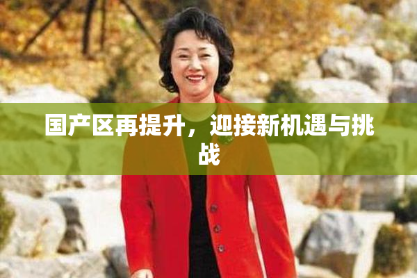 国产区再提升，迎接新机遇与挑战