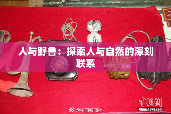 人与野鲁：探索人与自然的深刻联系
