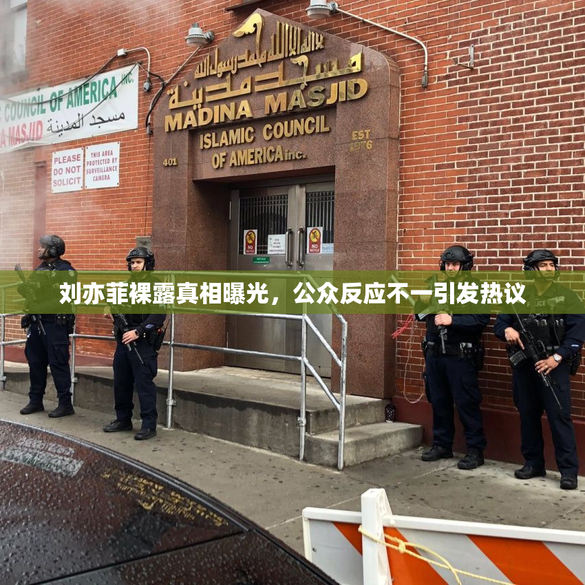 刘亦菲裸露真相曝光，公众反应不一引发热议