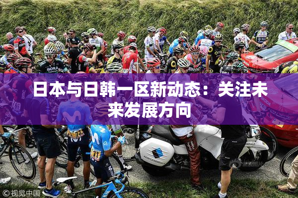 日本与日韩一区新动态：关注未来发展方向