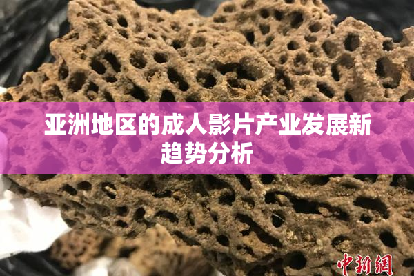 亚洲地区的成人影片产业发展新趋势分析