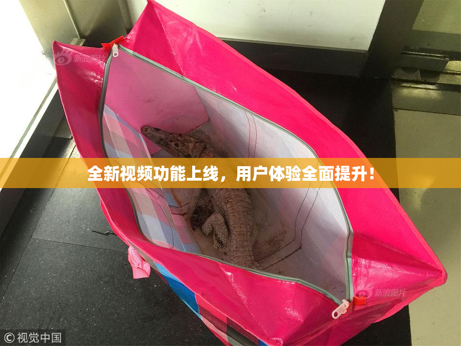 全新视频功能上线，用户体验全面提升！