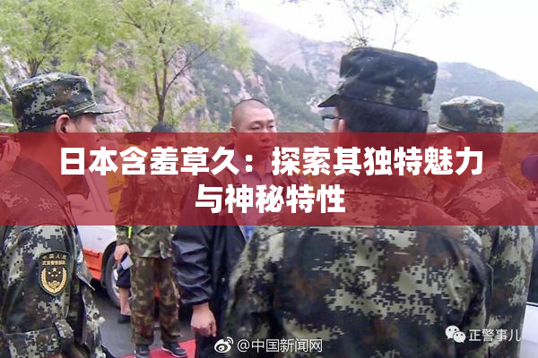 日本含羞草久：探索其独特魅力与神秘特性