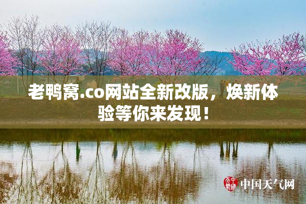 老鸭窝.co网站全新改版，焕新体验等你来发现！