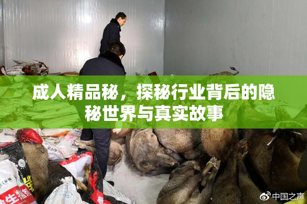 成人精品秘，探秘行业背后的隐秘世界与真实故事