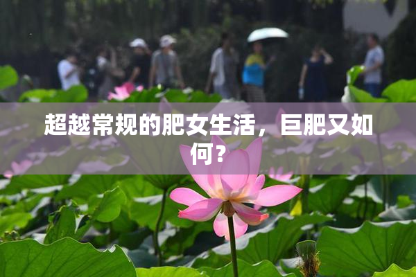超越常规的肥女生活，巨肥又如何？