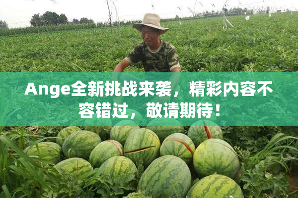 Ange全新挑战来袭，精彩内容不容错过，敬请期待！