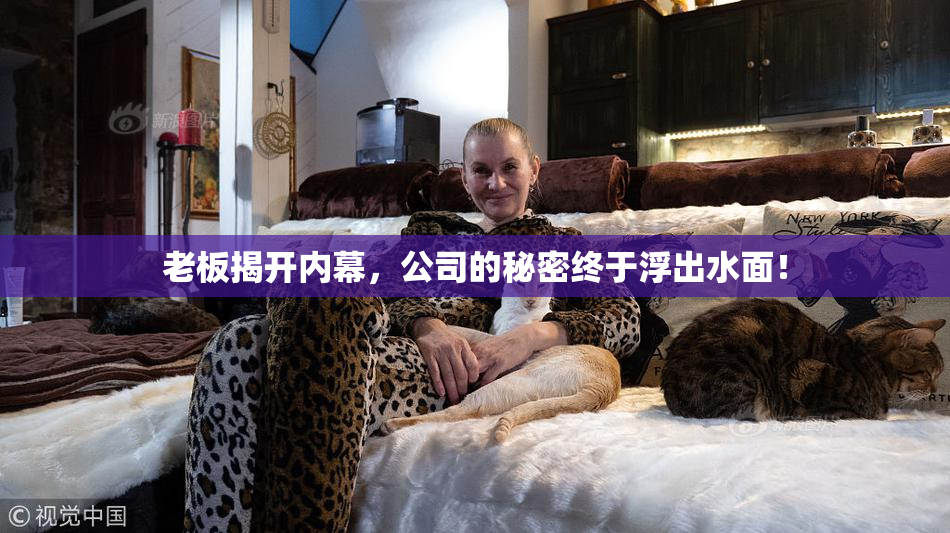 老板揭开内幕，公司的秘密终于浮出水面！