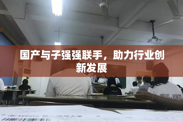 国产与子强强联手，助力行业创新发展