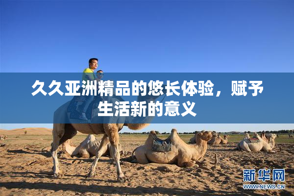久久亚洲精品的悠长体验，赋予生活新的意义