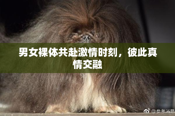 男女裸体共赴激情时刻，彼此真情交融
