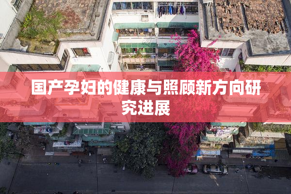 国产孕妇的健康与照顾新方向研究进展
