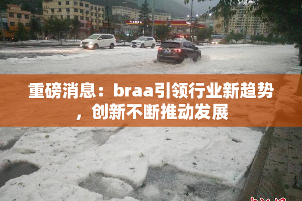 重磅消息：braa引领行业新趋势，创新不断推动发展