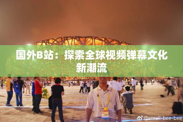 国外B站：探索全球视频弹幕文化新潮流