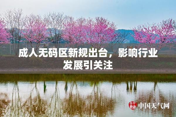 成人无码区新规出台，影响行业发展引关注