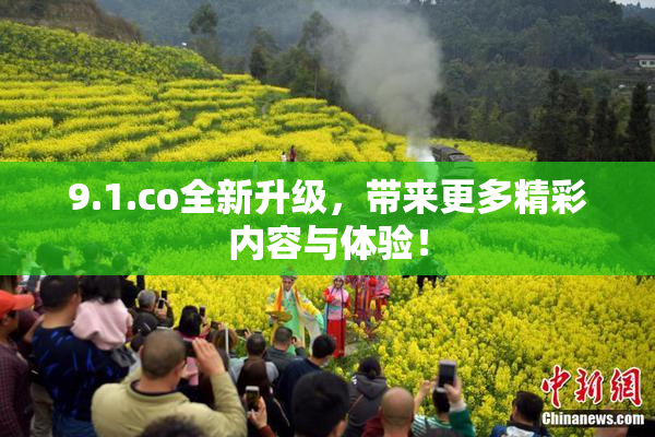 9.1.co全新升级，带来更多精彩内容与体验！