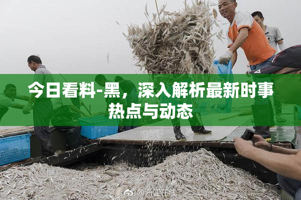 今日看料-黑，深入解析最新时事热点与动态