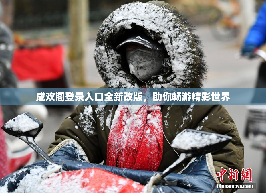 成欢阁登录入口全新改版，助你畅游精彩世界
