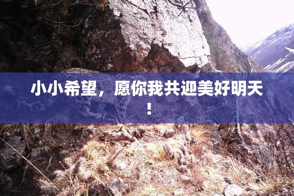 小小希望，愿你我共迎美好明天！