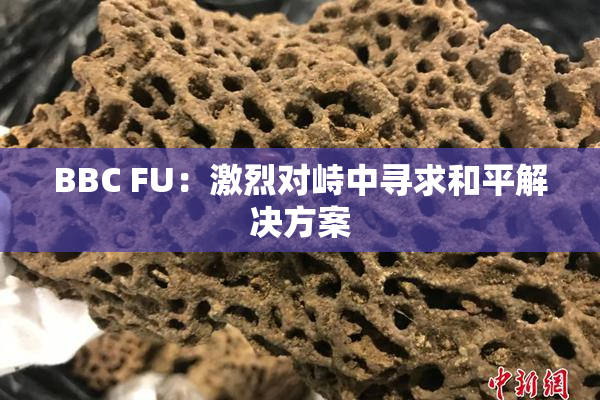 BBC FU：激烈对峙中寻求和平解决方案