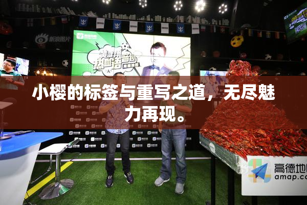 小樱的标签与重写之道，无尽魅力再现。