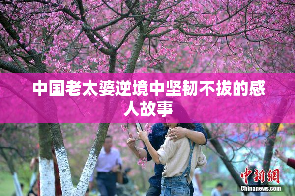 中国老太婆逆境中坚韧不拔的感人故事