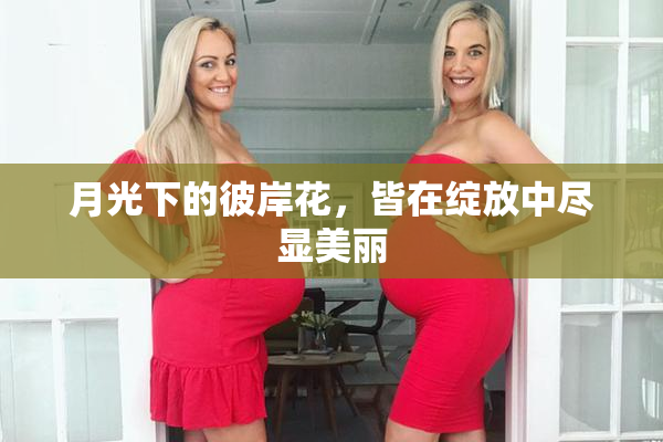 月光下的彼岸花，皆在绽放中尽显美丽