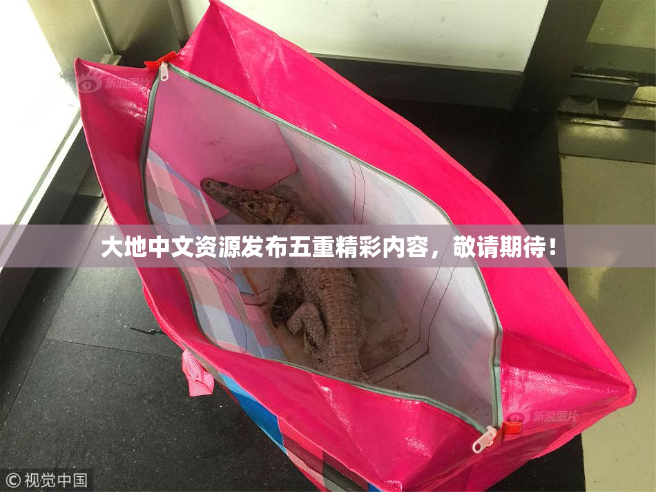 大地中文资源发布五重精彩内容，敬请期待！