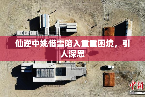 仙逆中姚惜雪陷入重重困境，引人深思