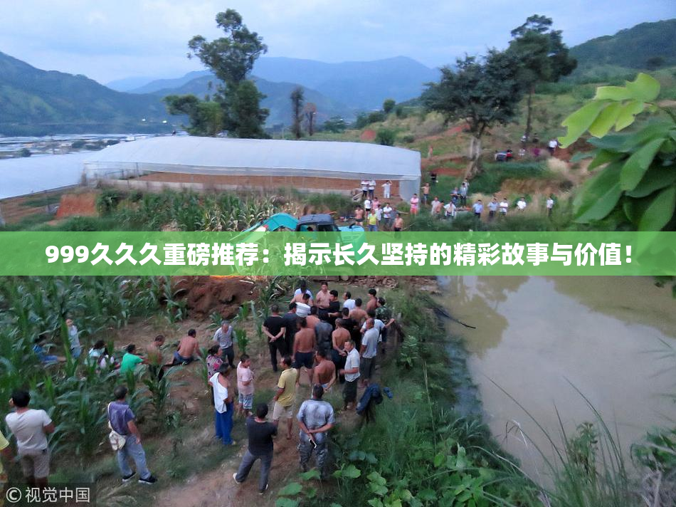 999久久久重磅推荐：揭示长久坚持的精彩故事与价值！