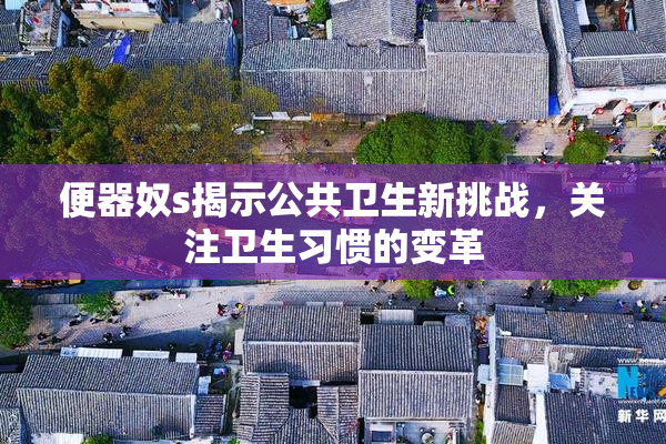 便器奴s揭示公共卫生新挑战，关注卫生习惯的变革