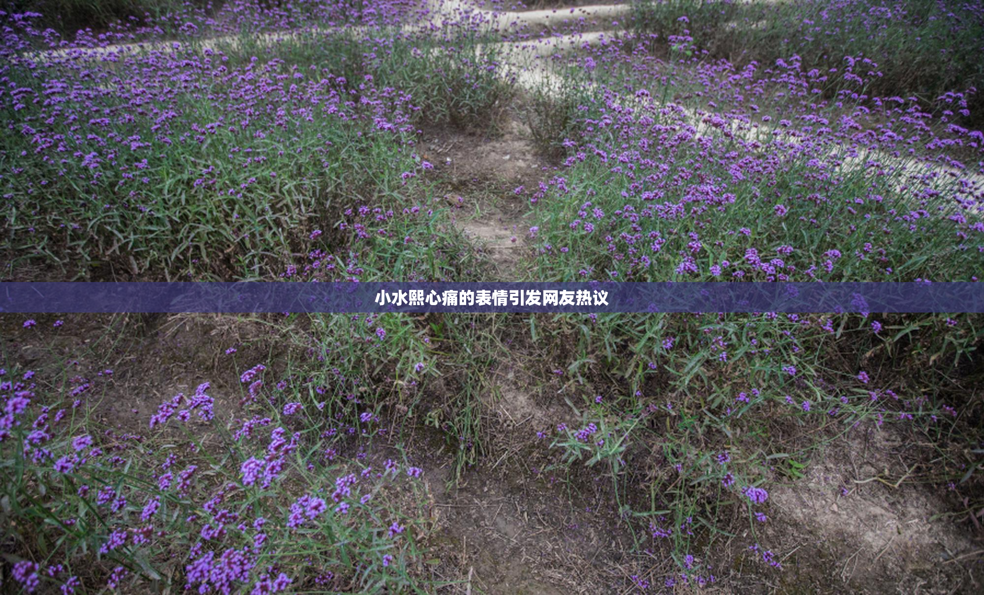 小水熙心痛的表情引发网友热议
