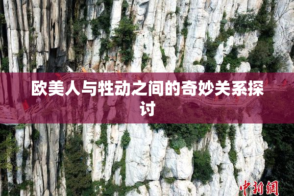 欧美人与牲动之间的奇妙关系探讨