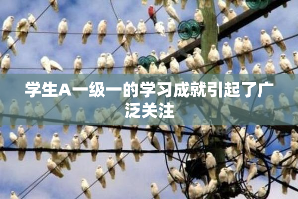 学生A一级一的学习成就引起了广泛关注