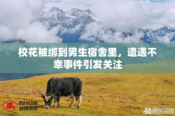校花被绑到男生宿舍里，遭遇不幸事件引发关注