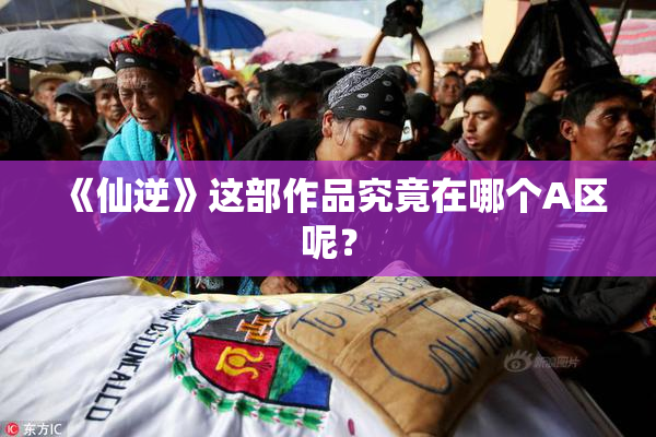 《仙逆》这部作品究竟在哪个A区呢？