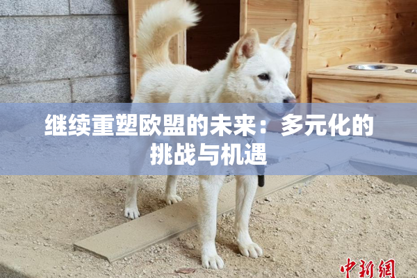 继续重塑欧盟的未来：多元化的挑战与机遇