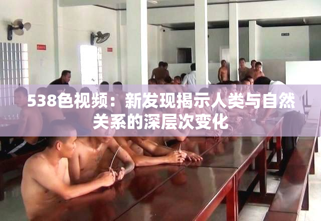 538色视频：新发现揭示人类与自然关系的深层次变化