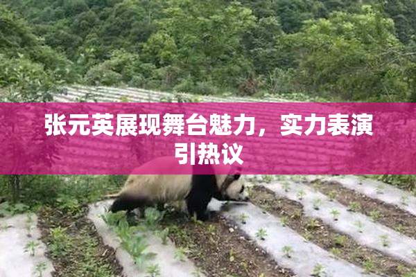 张元英展现舞台魅力，实力表演引热议