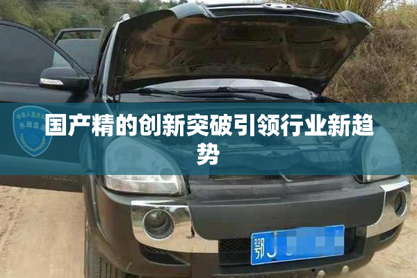 国产精的创新突破引领行业新趋势