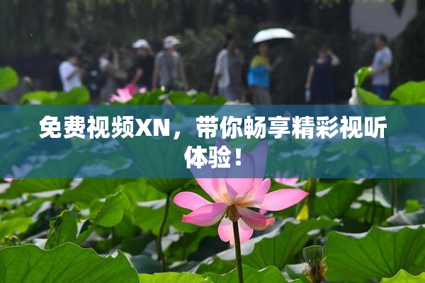 免费视频XN，带你畅享精彩视听体验！