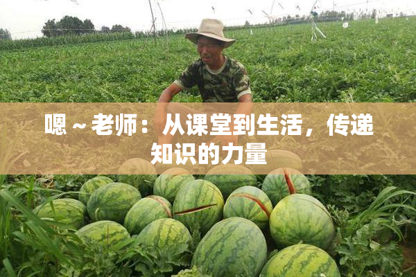 嗯～老师：从课堂到生活，传递知识的力量