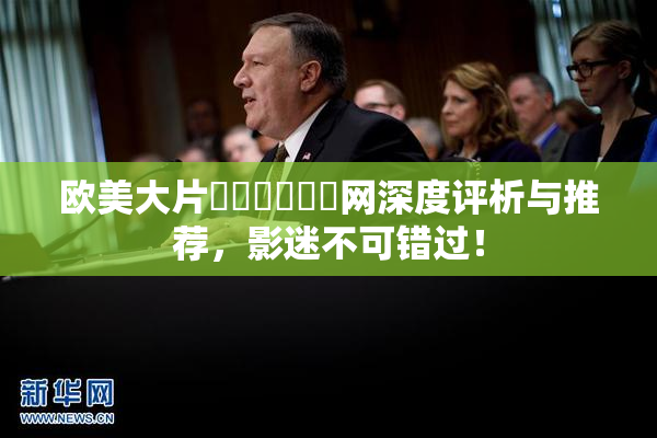 欧美大片❌‌❌‌❌‌网深度评析与推荐，影迷不可错过！