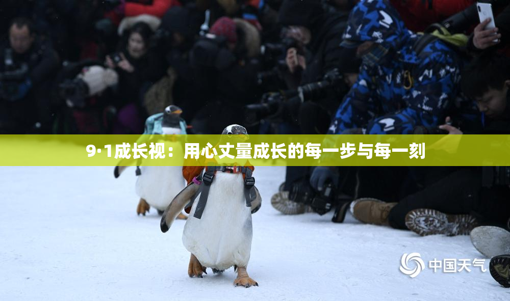 9·1成长视：用心丈量成长的每一步与每一刻