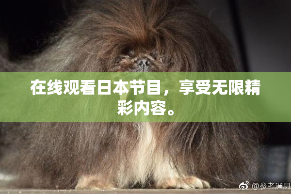 在线观看日本节目，享受无限精彩内容。